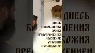 Пресвятая Богородица спаси нас! С праздником введения во храм Пресвятой Богородицы! Помолимся!