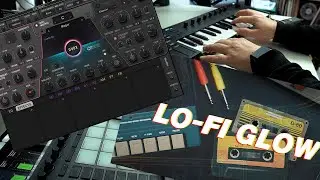 Checking out Waves Ovox and Native Instruments Lo-Fi Glow