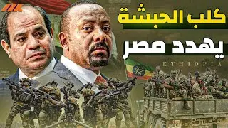 كلب الحبشة يهدد مصر - هل يستطيع الجيش الاثيوبي مواجهة الجيش المصري