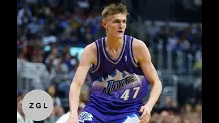 Andrei Kirilenko Defensive Highlights Compilation