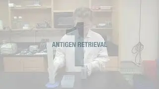 Better IHC Step 1: Antigen Retrieval