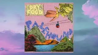 Palehound - Dry Food