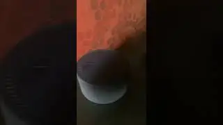 Алиса в тренде