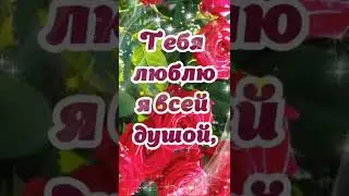 Тебя люблю я всей душой и очень встречи жду с тобой!