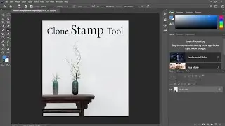 How to use Clone Stamp Tool In Adobe Photoshop 2020  - Graphics Designer