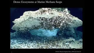Jeff Marlow: Methane & Microbial Communities: Uncovering New Habitats and Harnessing a Mysterious...