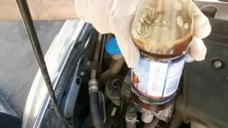 Power Steering Fluid Change 2004 (7th gen) Accord