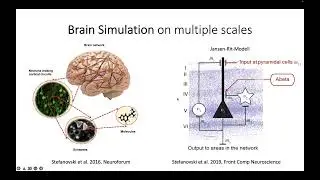 Modeling Neurodegeneration - Dr. Med. Leon Stefanovski, MD