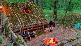 3 Days SOLO SURVIVAL CAMPING In RAIN Forest. Building a WOOD  Bushcraft SHELTER. Cook MEAT on MUD