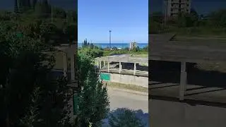 Море дельфины 🐬