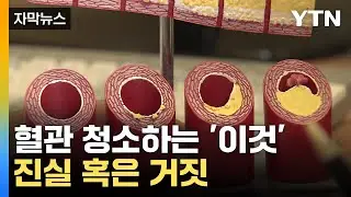 [자막뉴스] 영양소 중 '이것' 부족하면 아프다?...콜레스테롤의 오해와 진실 / YTN