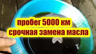 Замена масла ниссан альмера н15 каждые 5000км