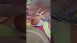 Куда посмотреть🤔... #egg