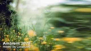 Localized - Ambient 2023 [Mix]