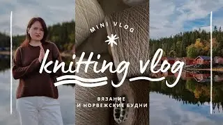 vlog 28/24 | связала топ из кашемира ✨️💛 мои приключения с кардиганом 🫣 я снова купила пряжу