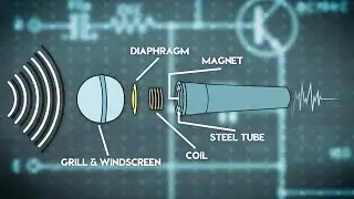 A Quick Guide to Microphones