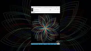 Flowers Graphics Design || Python Programming Graphics Animations || Python  Learning || beginner
