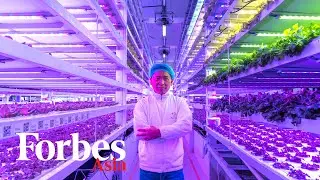 Meet The High-Tech Urban Farmer Growing Vegetables Inside Hong Kong’s Skyscrapers