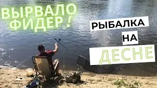 🎣 Десна 2022. Вырвало фидер с рук. Пулеметный клев. Ловим коротышом.