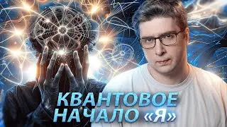 Новый эксперимент подтверждает безумную идею. Но в чём? | Пушка #80