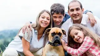 Top 5 Guard 🐶💥Dogs For Family 👪✨ | #shorts #dogs #Cutedogs #puppies @DogsCount