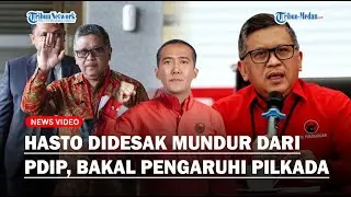 HARUS LEGOWO, HASTO Didesak Mundur dari Sekjen PDIP Gegara Harun Masiku: Bakal Pengaruhi Pilkada!