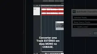 Converter uma Track ESTÉREO para MONO NO CUBASE. #cubase #cubase12 #mixagem #masterizaçao