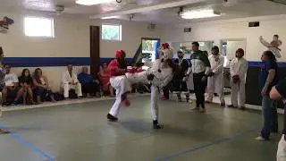 2017 Dave's Taekwondo Friendship tournament - 3