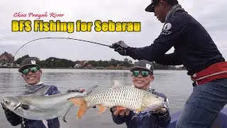 BFS Ultralight Fishing for Sebarau - Chao Prayah River