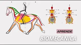 Mejora tu postura al montar a caballo | Parte 1