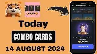 14 AUGUST update: Hamster Kombat daily combo cards update Claim 5 m coins 🔥