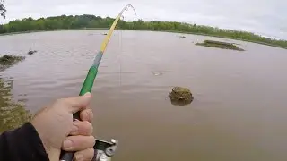 Channel cat fishing in the spring