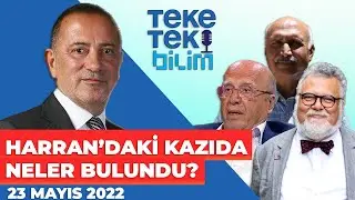 Harran'daki kazıda neler bulundu? Prof. Dr. Celal Şengör & Prof. Dr. Ahmet Arslan - Teke Tek Bilim