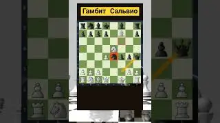 telegram: Albinachess 