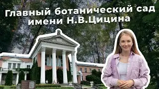 Главный ботанический сад имени Цицина | Куда сходить в Москве