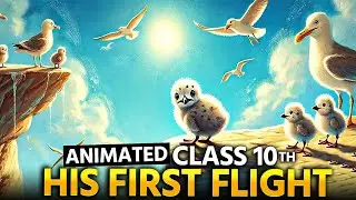 His FIRST FLIGHT Part-1🔥 Class 10 animation in hindi summary!