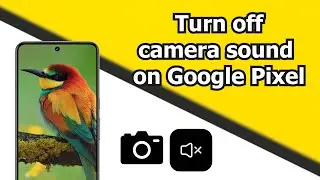 Make your Pixel camera silent |A step-by-step guide