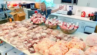 MASSIVE MEAT!! Huge RESTOCK the Basement GROCERY Store Freezers with Me!