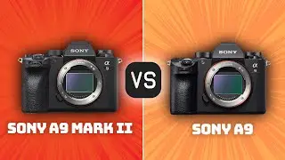 Sony A9 Mark II vs Sony A9: Which Camera Is Better? (With Ratings & Sample Footage)