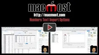 Numbers Text Import Options (#1631)
