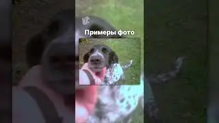 Nokia Fun Camera - для безкамерных бедняг