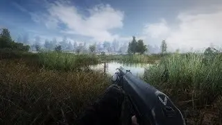 СТРИМ S.T.A.L.K.E.R. ANOMALY СБОРКА GAMMA ПРОХОЖДЕНИЕ #1