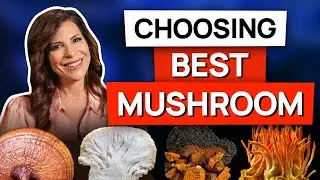 MEDICINAL MUSHROOMS BENEFITS + BEST Medicinal Mushroom Supplements!