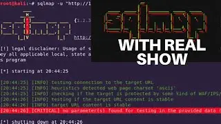 SQLmap || Basics of SQLmap || SQLmap commands for extracting information | SQLmap with Security Spot