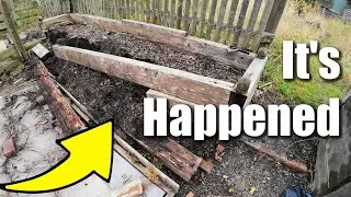 Raised Bed Collapsed