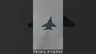 【だがしかし！】何故かラプターに負けない変態機動をするようになったF-15！最新仕様はこんなことまで出来るようになるのかー！！これぞ復活！？