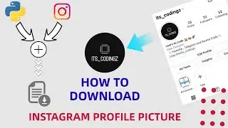 How to Download Instagram Profile Pic using Python