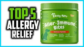 ✅Top 5 Best Allergy Relief for Dogs in 2024