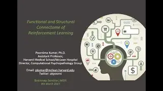 Brainmap: Functional and Structural Connectome of Reinforcement Learning