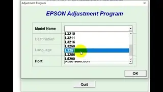 Epson Ped Reset L1210,L1250,L3210,L3250,L3251,L3256,L3260 Adjustment Program Atık Ped Sıfırlama